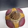 Vintage Italian Leather Decanter Crown Design (18 cm) Image 5