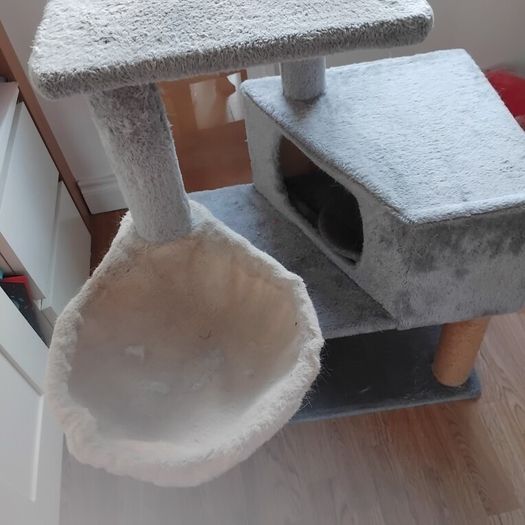 Cat Scrater and Play Lounge