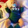 Xmas Reborn Doll Price Drop Image 5