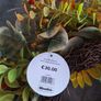 Woodies autumn wreath Image 2