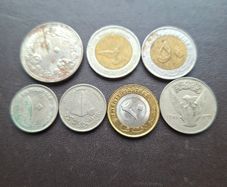 A Lot of 7 coins from Sudan (1971-2006)