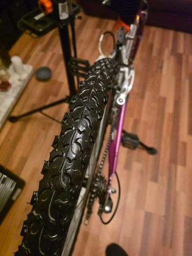 Emmelle Saphire 12 Speed Girls Mountain Bike