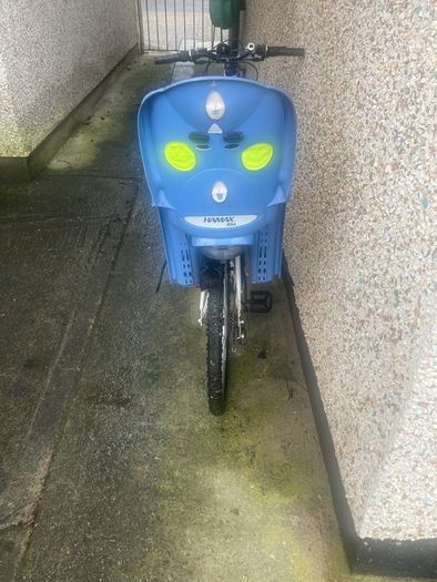 adult bike