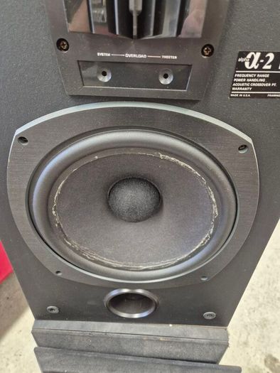 Bose Interaudios 2 Speakers.