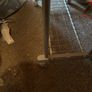 extendable adjustable double clothes rail with shoe rack Image 3