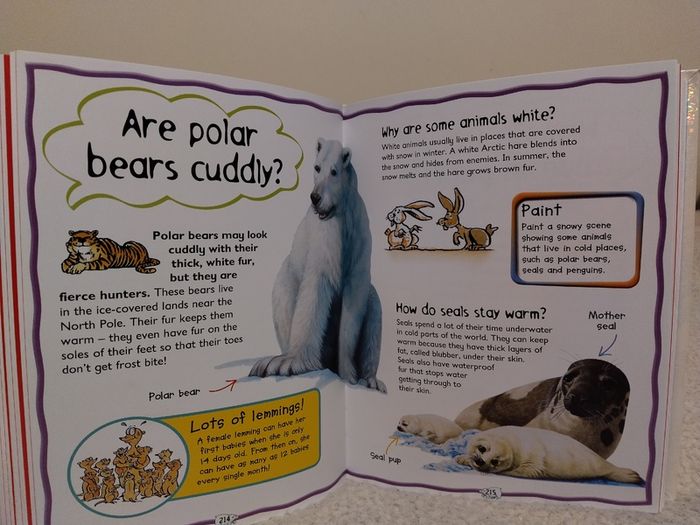My First Question And Answer Educational Book