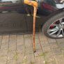 walking stick Image 2