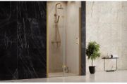 Shower Door Folding door 1000x1900