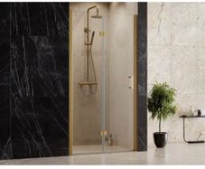 Shower Door Folding door 1000x1900