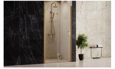 Shower Door Folding door 1000x1900