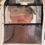The Martin BeeSee Visor Image 5