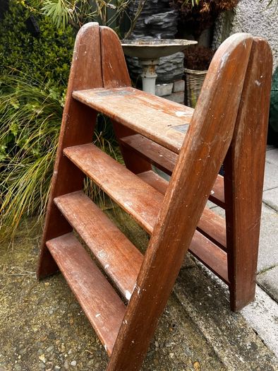 ladder
