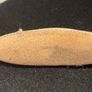 Vintage French Ivory Art Deco Nail Buffer Vanity Grooming Tool Image 3