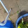 Toilet mobility aid Image 7