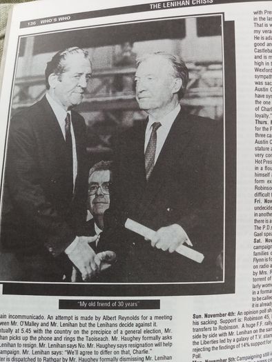 Who's who in Irish politics: The top 500