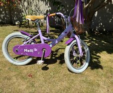 Raleigh 16" Bike