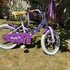Raleigh 16" Bike