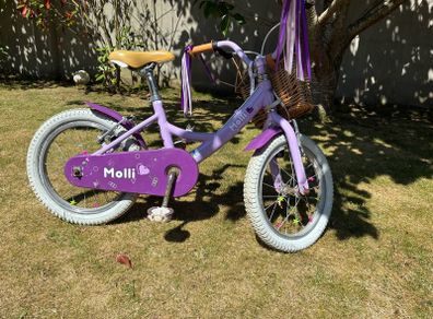 Raleigh 16" Bike