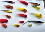Salmon flies