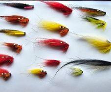 Salmon flies