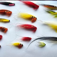 Salmon flies