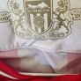 Sunderland Jersey Image 4