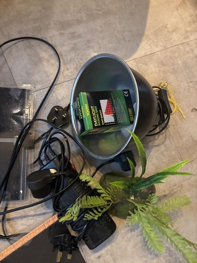 Xtra large terrarium and accessories
