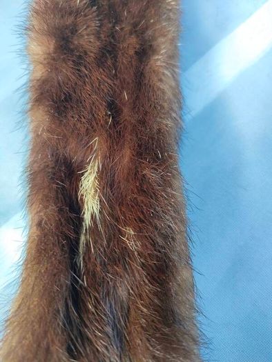 Barnardo's double pelt mink stole