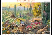 1999 USA American Nature of America: Sonoran Desert Commemorative Stamps Sheet Mint Never Hinged (MNH)