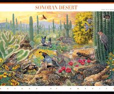 1999 USA American Nature of America: Sonoran Desert Commemorative Stamps Sheet Mint Never Hinged (MNH)