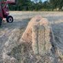 Hay Image 5