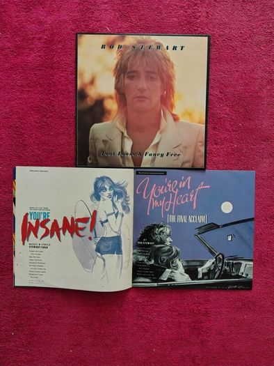Rod Stewart 2 Vinyl Records