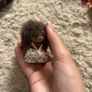 sylvanian Image 4