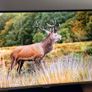 Samsung TV UE40H5000 Image 3