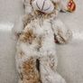 Gund and Paws Soft Plushy Teddys Image 7