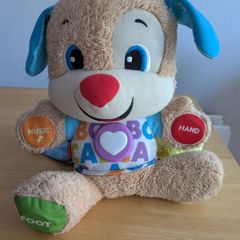 Music Teddy