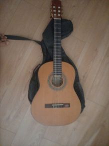 acoustic guitar