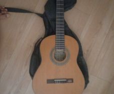 acoustic guitar