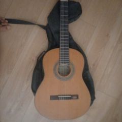 acoustic guitar