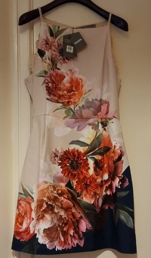Oasis Lace Back Floral Placement Print Dress S16
