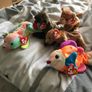Beanie Baby Collection!! Image 8