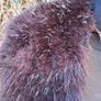 Art Deco 4ft Real Black Fox Fur Stole(Super Rare) Image 3