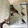 Cage & Aviary Birds Book Image 3