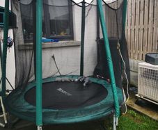 6ft trampoline free to go