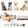 Elevated dog bed Image 5