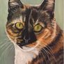 Custom Cat Portrait Image 7