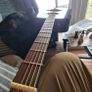guitar with case - brand new Image 6