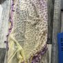 Ladies Scarves Image 2