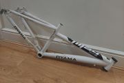 Bicycle frame / kids bike