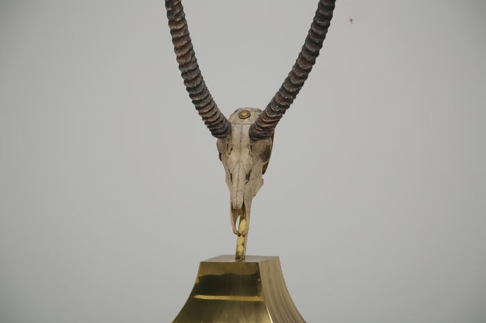 Taxidermy Study of Gazelle With Antlers by Anthony Redmile, London, 1970s.